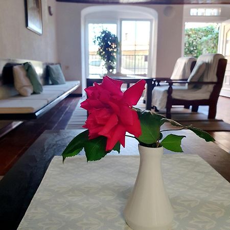 Holiday Home Dunja 奥帕提亚 外观 照片