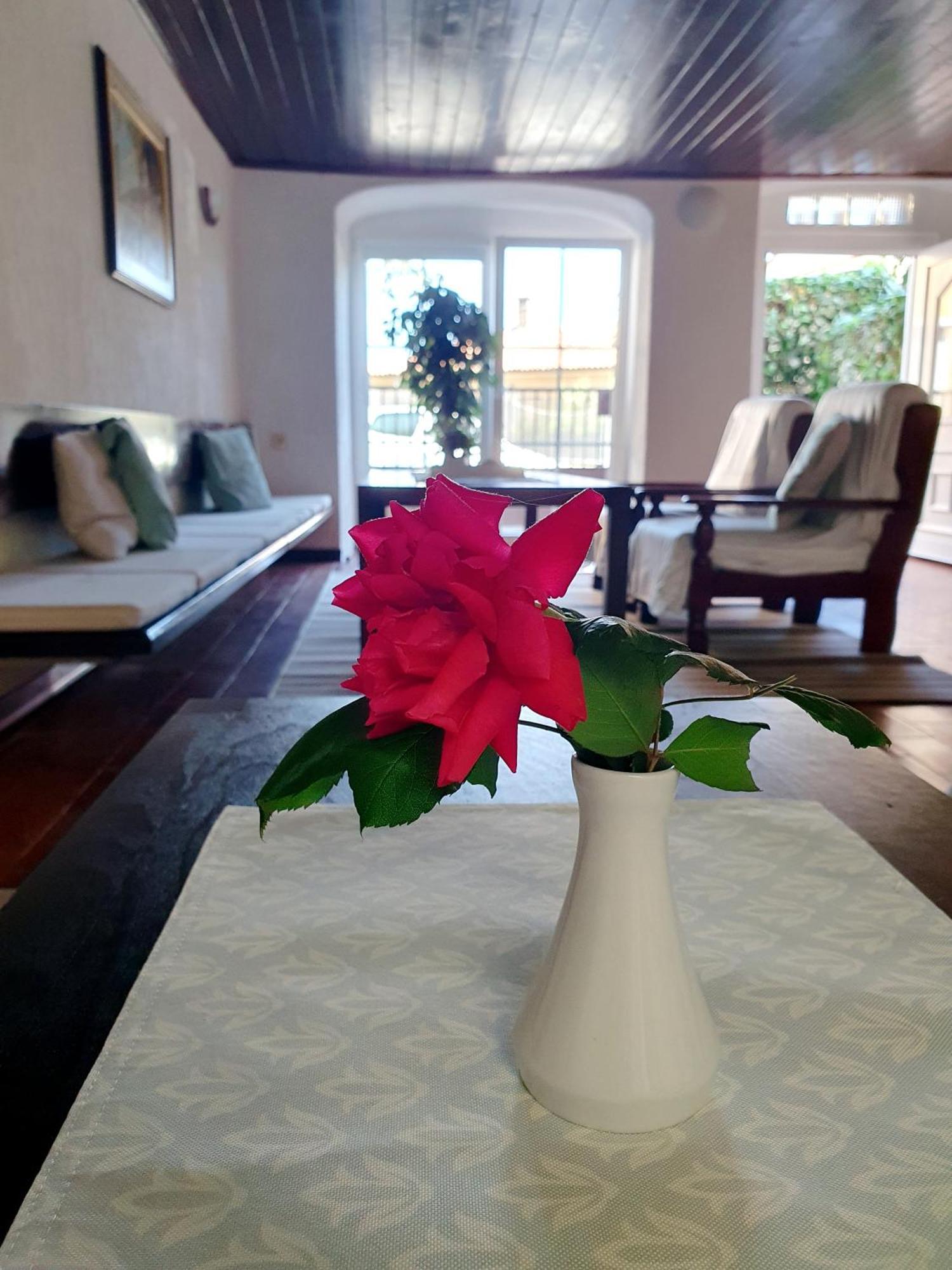 Holiday Home Dunja 奥帕提亚 外观 照片